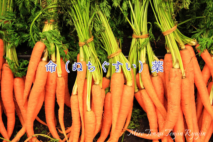 f:id:mire719:20200115095919j:plain f:id:mire719:20200115095919j:plain