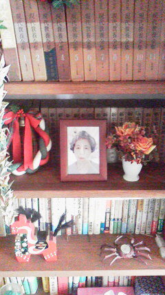 f:id:mirefugio:20150804153844j:image