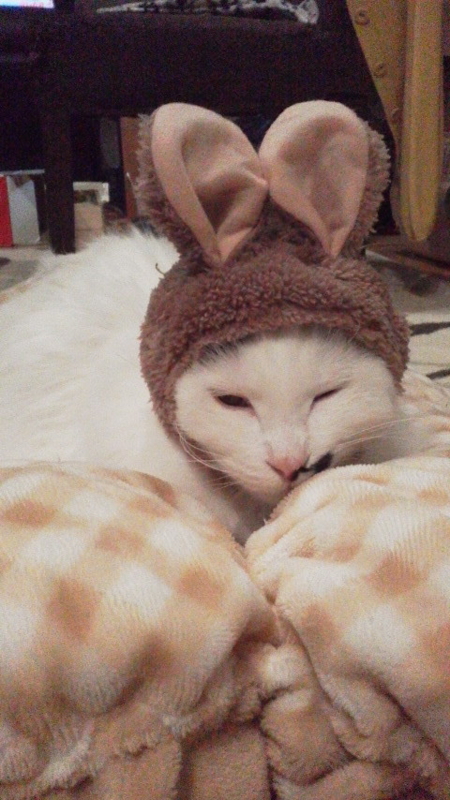 f:id:mirei20:20180126193852j:image:w360 f:id:mirei20:20180126193852j:image:w360
