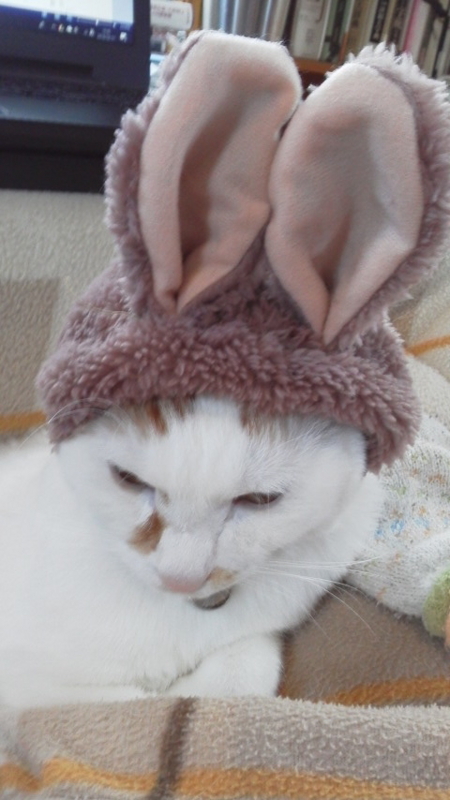 f:id:mirei20:20180221164129j:image:w360 f:id:mirei20:20180221164129j:image:w360