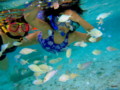 20100211214613