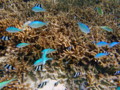 20100224112946