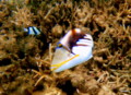20100224181156