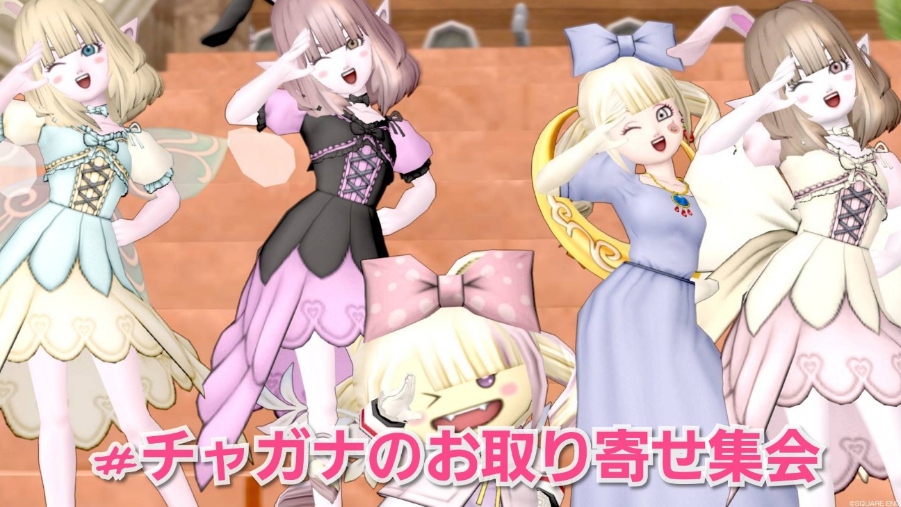 チャガナのお取り寄せ集会 ミリカの想い出