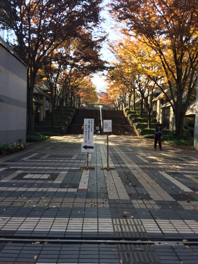 f:id:mirimiricutch:20190106114255j:plain f:id:mirimiricutch:20190106114255j:plain
