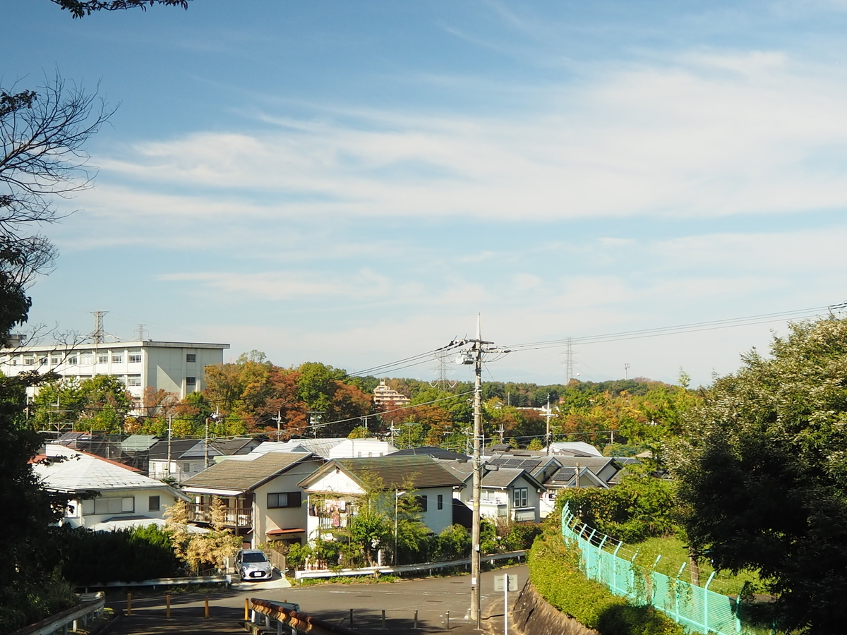 f:id:miriwo:20211112151506j:plain