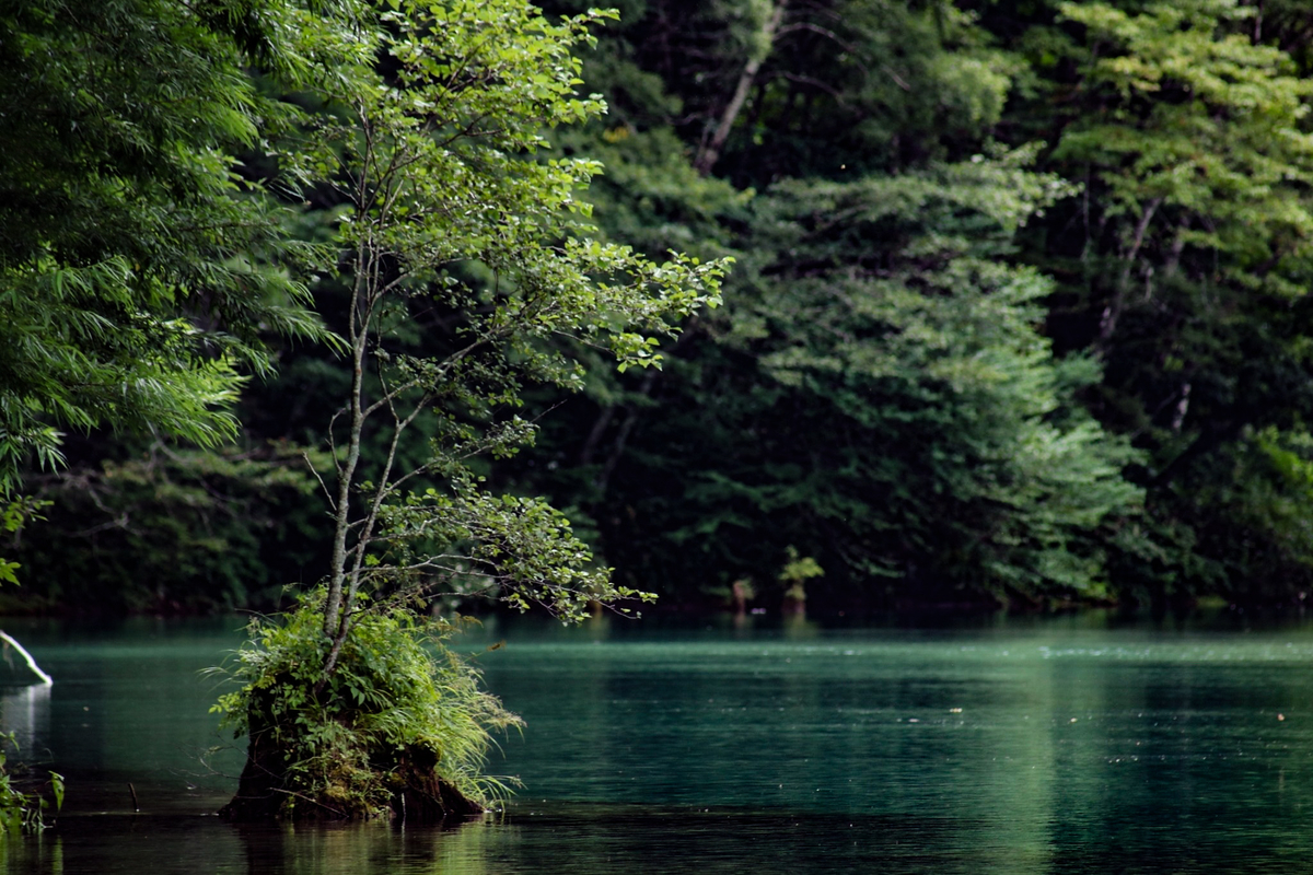 f:id:miriwo:20211112155956j:plain