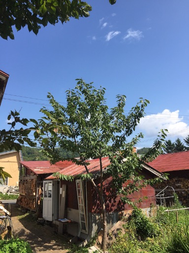 f:id:mirkka5:20151212221028j:image f:id:mirkka5:20151212221028j:image