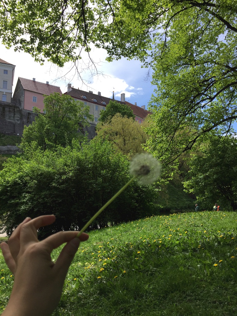 f:id:mirkka5:20170531230941j:image f:id:mirkka5:20170531230941j:image
