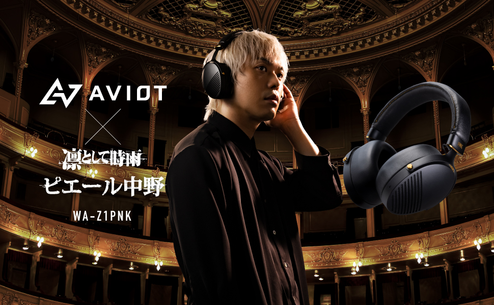 結局どうなの?ピッドホンのリアルな評判【AVIOT WA-Z1PNK/ピエール