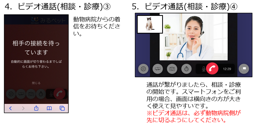 f:id:mirpet:20200604194102p:plain