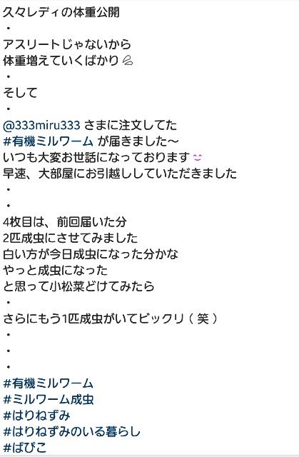 f:id:miru333:20190428191743j:plain