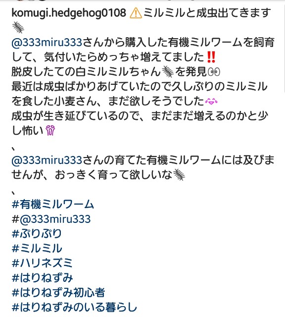 f:id:miru333:20190616084224j:plain