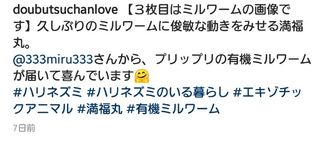 f:id:miru333:20190727165746j:plain