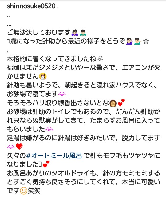 f:id:miru333:20190807092937j:plain