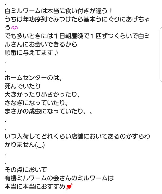 f:id:miru333:20190901083719j:plain