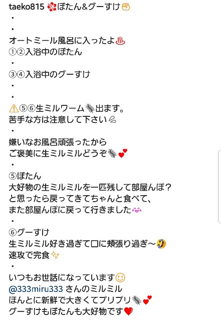 f:id:miru333:20191114162219j:plain