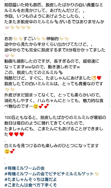 f:id:miru333:20191115123018j:plain