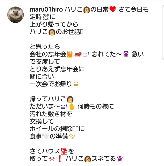 f:id:miru333:20191221151441j:plain