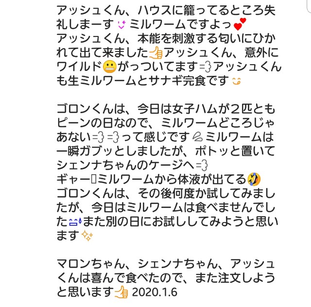f:id:miru333:20200111202055j:plain