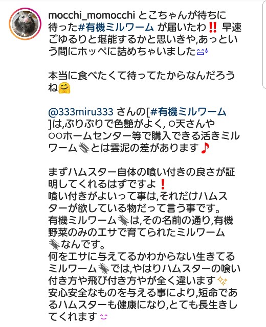 f:id:miru333:20200314160332j:plain
