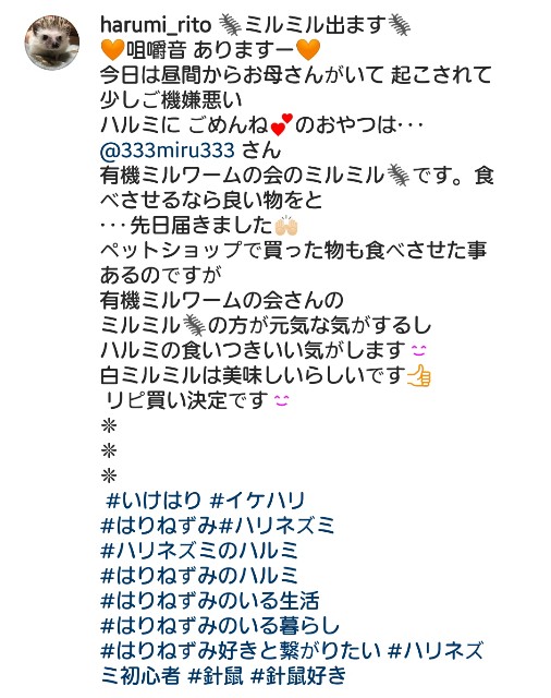 f:id:miru333:20210201134513j:plain