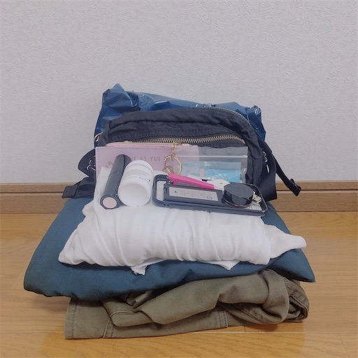 f:id:miruimte:20201030141541j:plain f:id:miruimte:20201030141541j:plain
