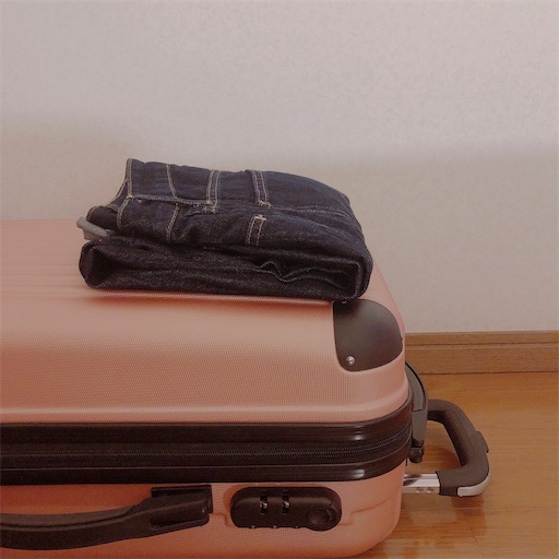 f:id:miruimte:20201128145818j:plain