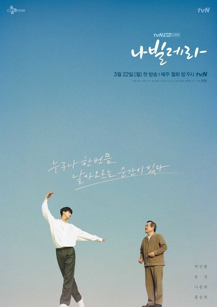 韓国ドラマ ナビレラ それでも蝶は舞う 感想 ドラマや映画の感想を書いてみるブログ