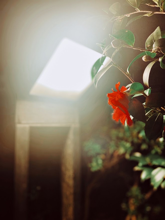 f:id:mirunax:20201128001419j:plain