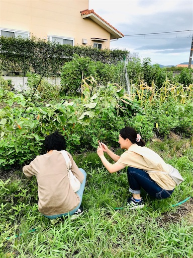 f:id:mirunyann0623:20190817071941j:image f:id:mirunyann0623:20190817071941j:image