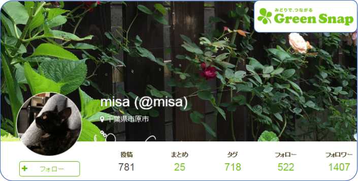 f:id:misa-s:20180813093739j:plain