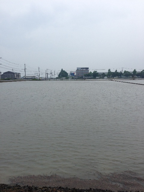 f:id:misa0323:20150616174009j:image