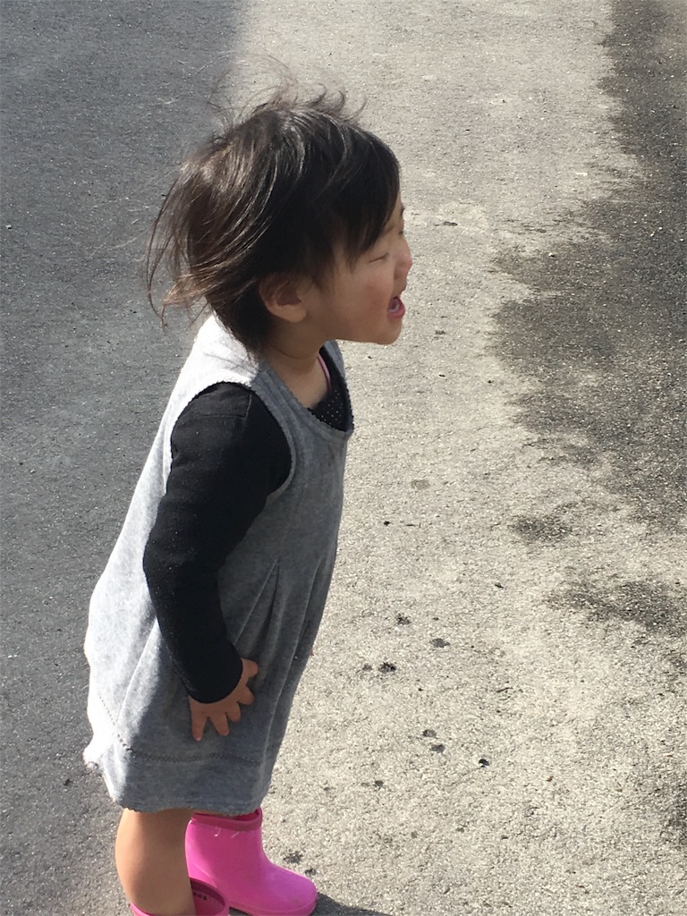 f:id:misa0323:20160417100555j:image