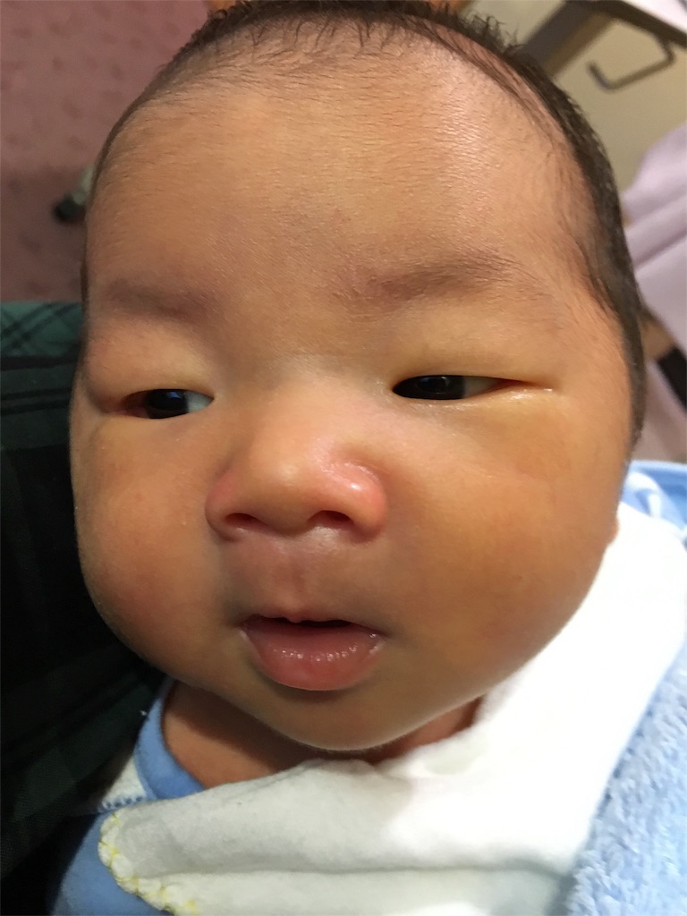 f:id:misa0323:20160617061226j:image f:id:misa0323:20160617061226j:image