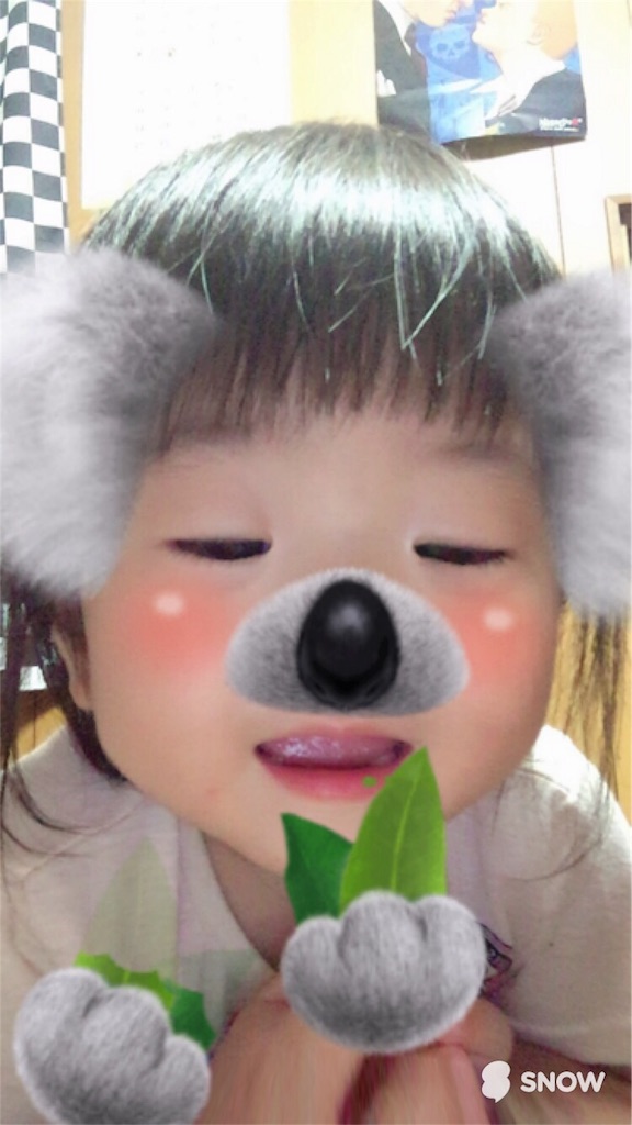 f:id:misa0323:20160701080923j:image f:id:misa0323:20160701080923j:image