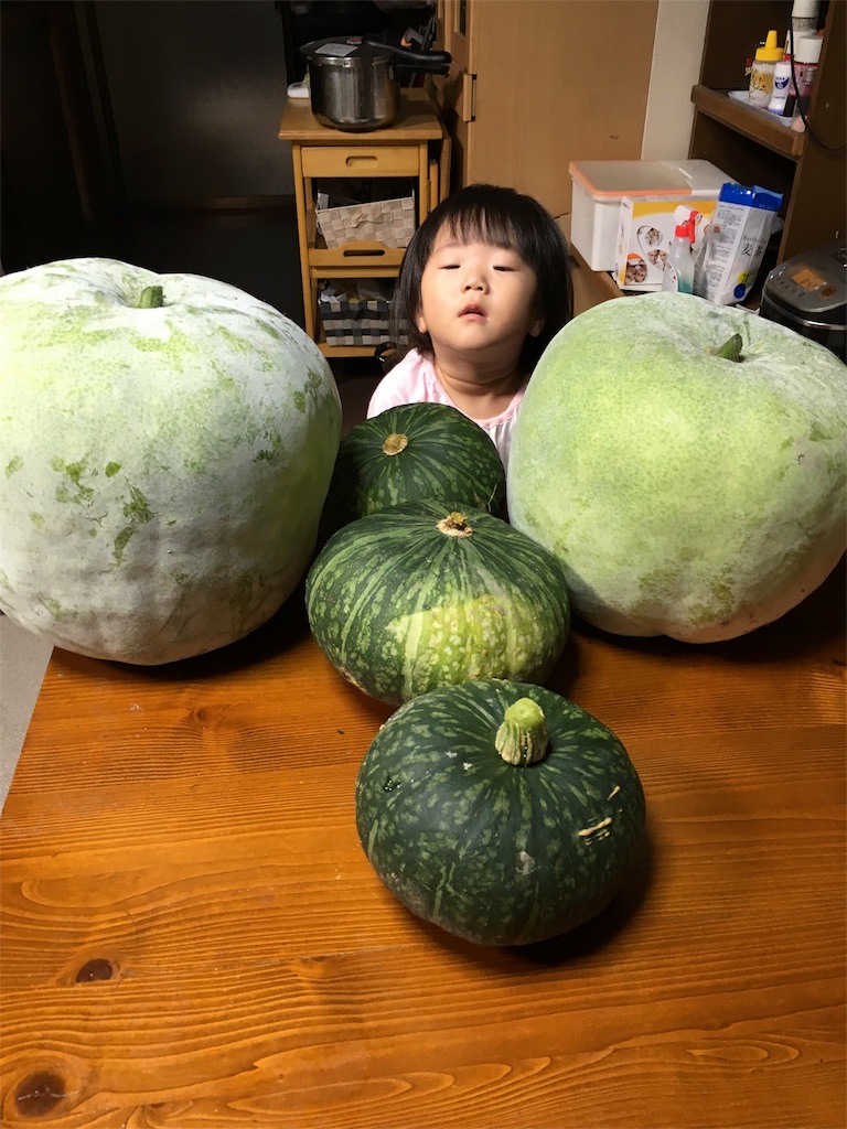 f:id:misa0323:20160714030839j:image