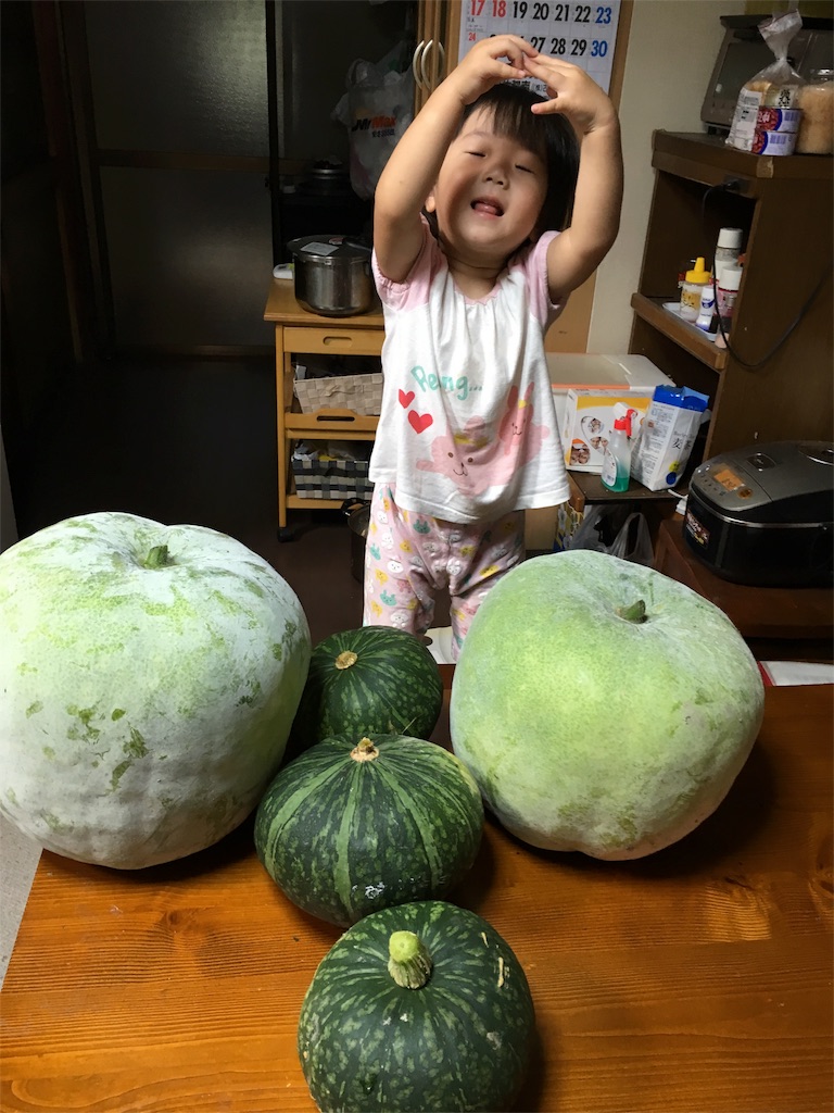 f:id:misa0323:20160714030919j:image