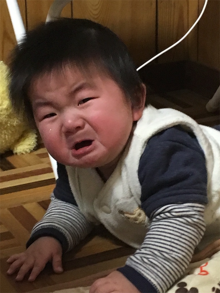 f:id:misa0323:20170307114317j:image