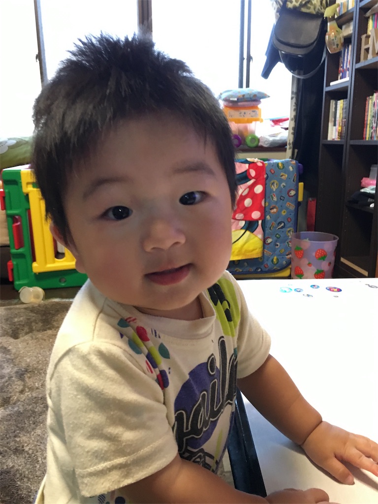 f:id:misa0323:20170609082916j:image f:id:misa0323:20170609082916j:image