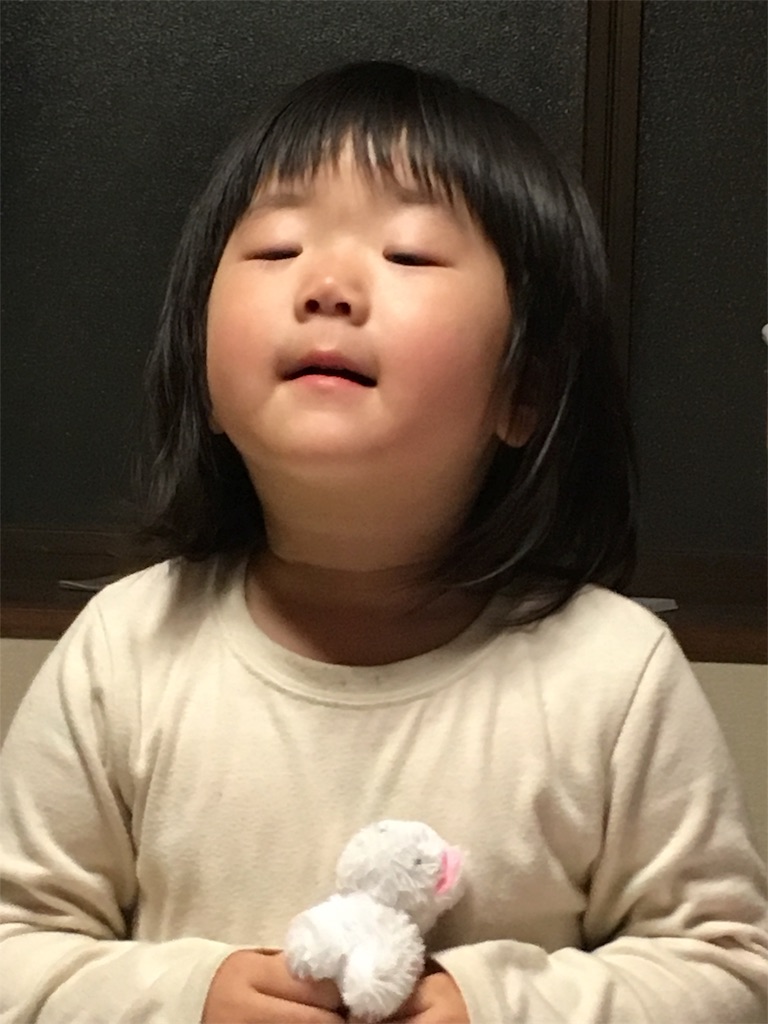 f:id:misa0323:20170613230844j:image