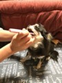 20171105005339