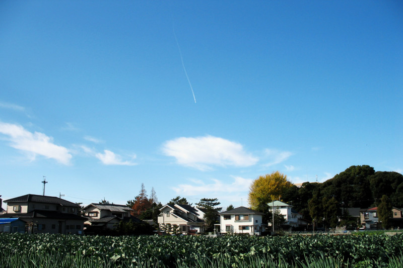 f:id:misaki-taku:20091212234721j:image