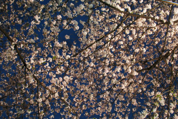 f:id:misaki-taku:20100406225005j:image