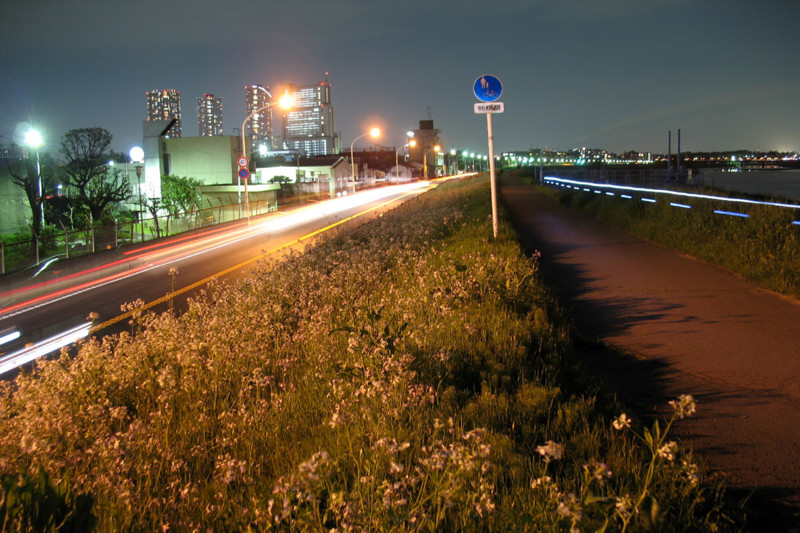 f:id:misaki-taku:20100409232604j:image