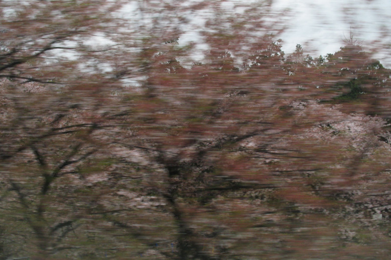 f:id:misaki-taku:20100416220623j:image