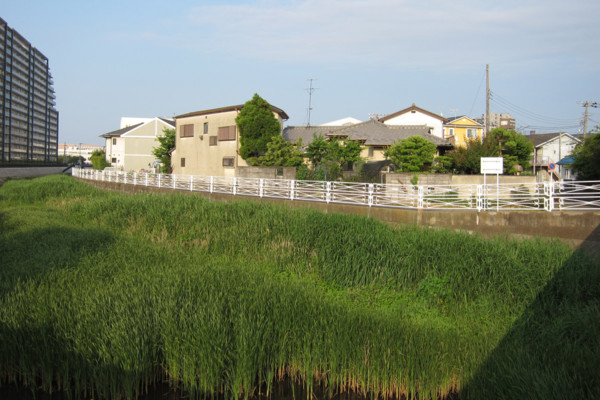 f:id:misaki-taku:20100612192045j:image