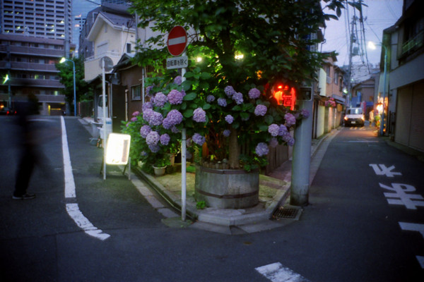 f:id:misaki-taku:20100627190303j:image
