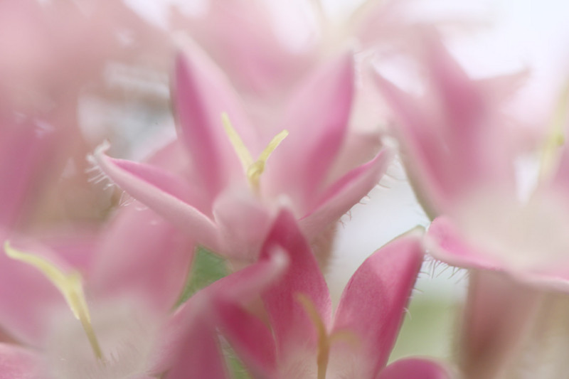f:id:misaki-taku:20100704180556j:image f:id:misaki-taku:20100704180556j:image