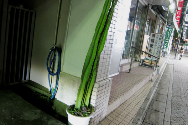f:id:misaki-taku:20100725142430j:image